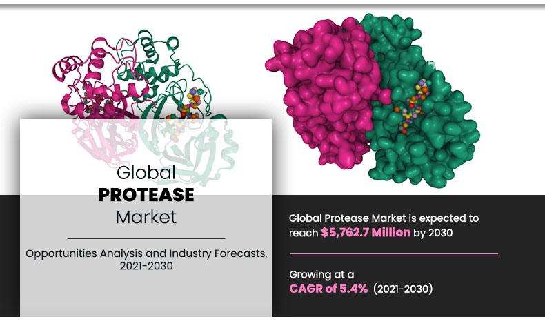 Protease-Market