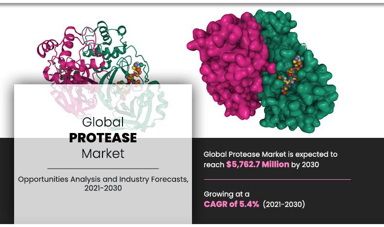 Protease-Market	