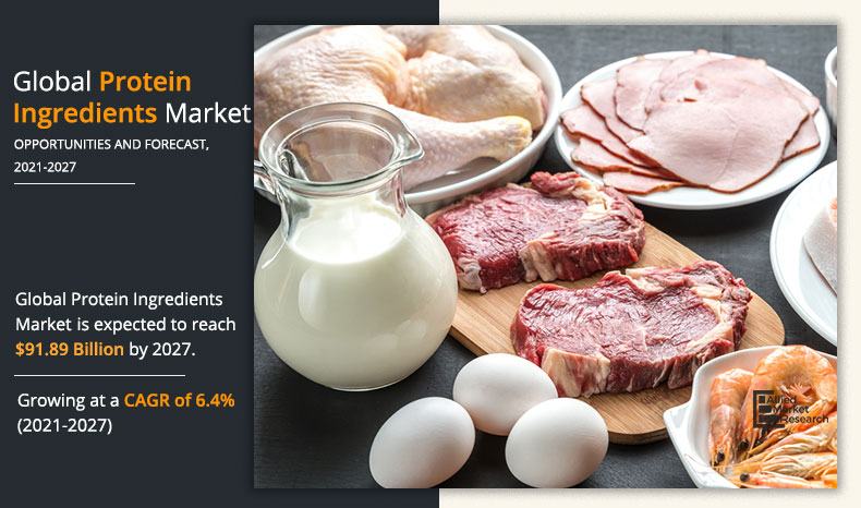 Protein-Ingredients--Market-2020-2027