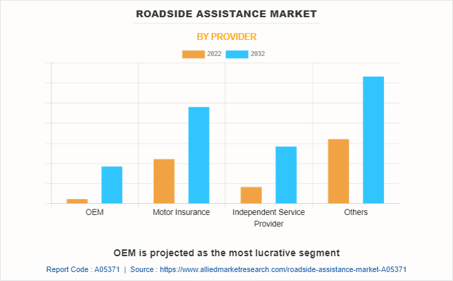 Roadside Assistance Market by Provider