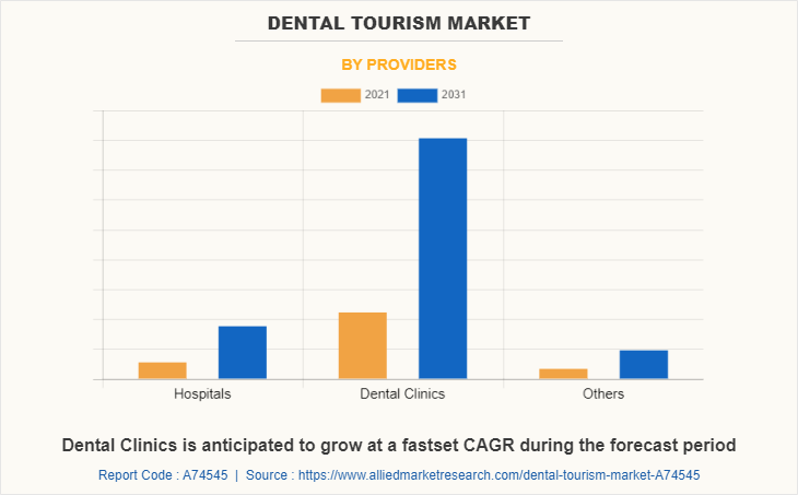 Dental Tourism Market by Providers