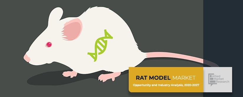 Rat-Model