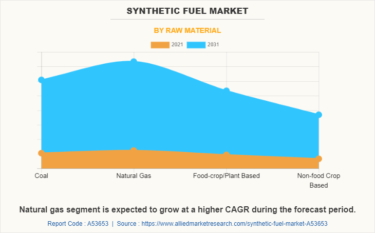 Synthetic Fuel Market by Raw Material