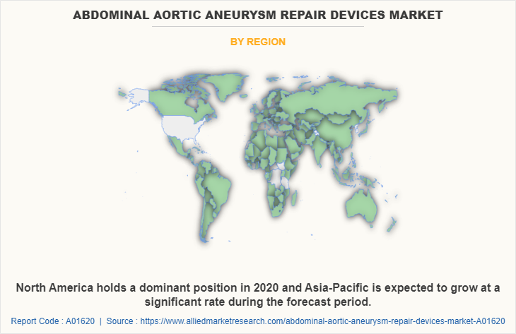 Abdominal Aortic Aneurysm (AAA) Repair Devices Market by Region
