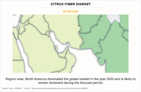 Citrus Fiber Market by Region