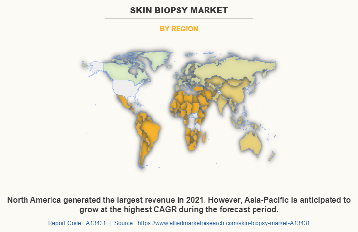 Skin Biopsy Market by Region