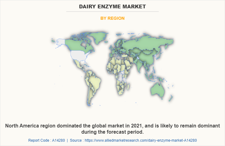 Dairy Enzyme Market by Region