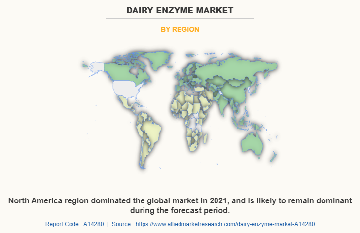 Dairy Enzyme Market