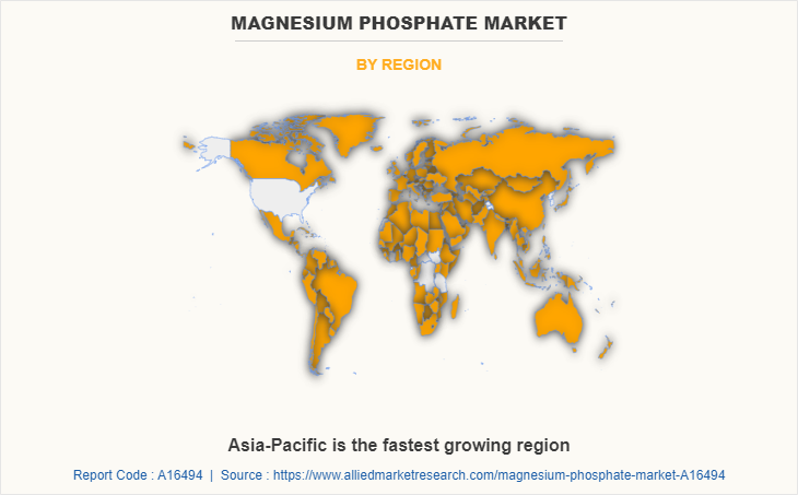 Magnesium Phosphate Market by Region