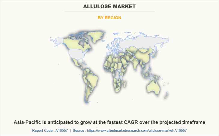 Allulose Market by Region