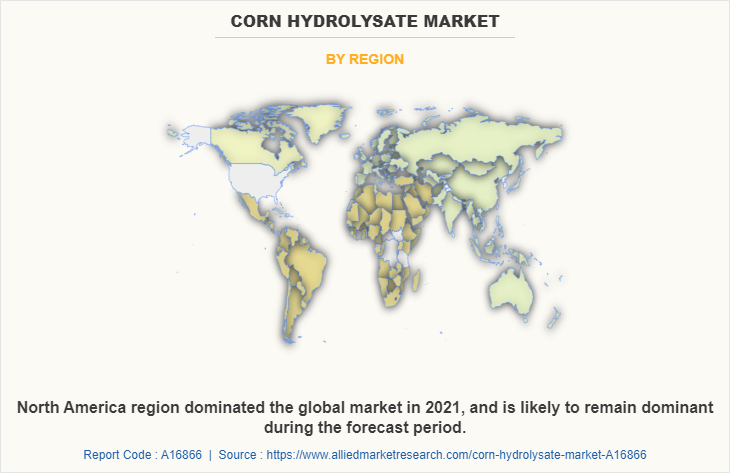 Corn hydrolysate Market by Region