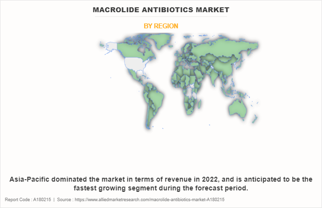 Macrolide Antibiotics Market by Region