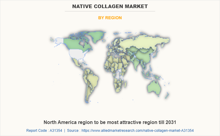 Native Collagen Market by Region