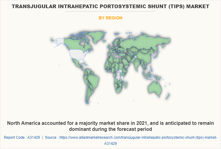 Transjugular Intrahepatic Portosystemic Shunt (TIPS) Market by Region