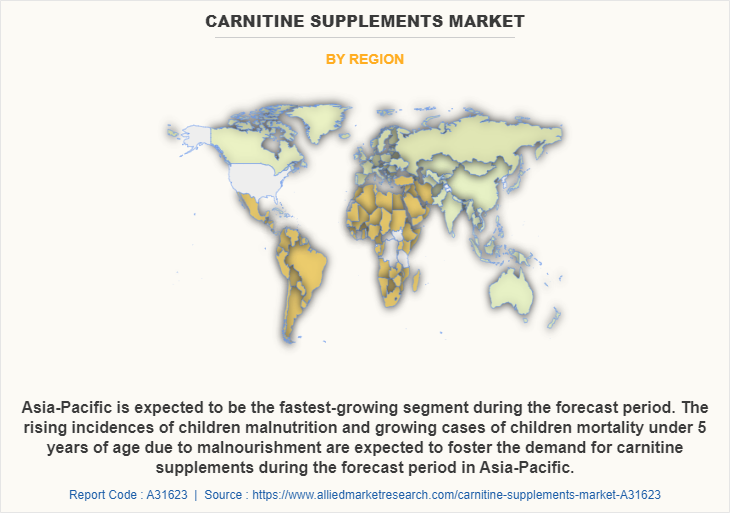 Carnitine Supplements Market by Region