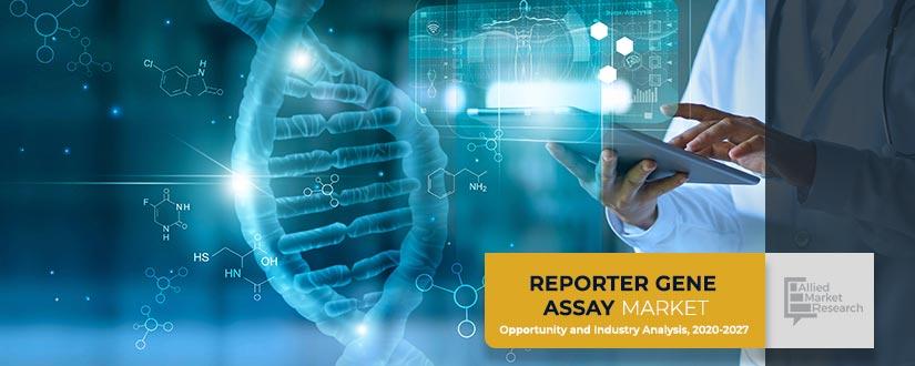 Reporter-Gene-Assay	