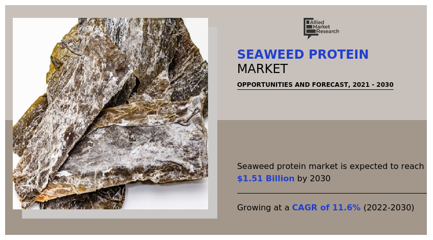 Seaweed Protein Market, Seaweed Protein Industry, Seaweed Protein Market Size, Seaweed Protein Market Share, Seaweed Protein Market Growth, Seaweed Protein Market Trends, Seaweed Protein Market Analysis, Seaweed Protein Market Forecast