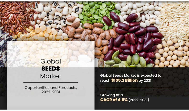 Seeds-Market