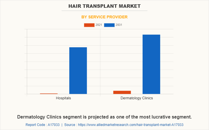 Hair Transplant Market by Service Provider