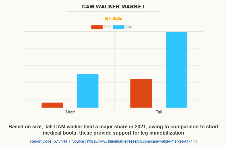 Cam Walker Market by Size