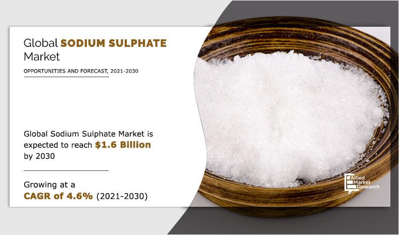 Sodium-Sulphate-Market-2021-2030	