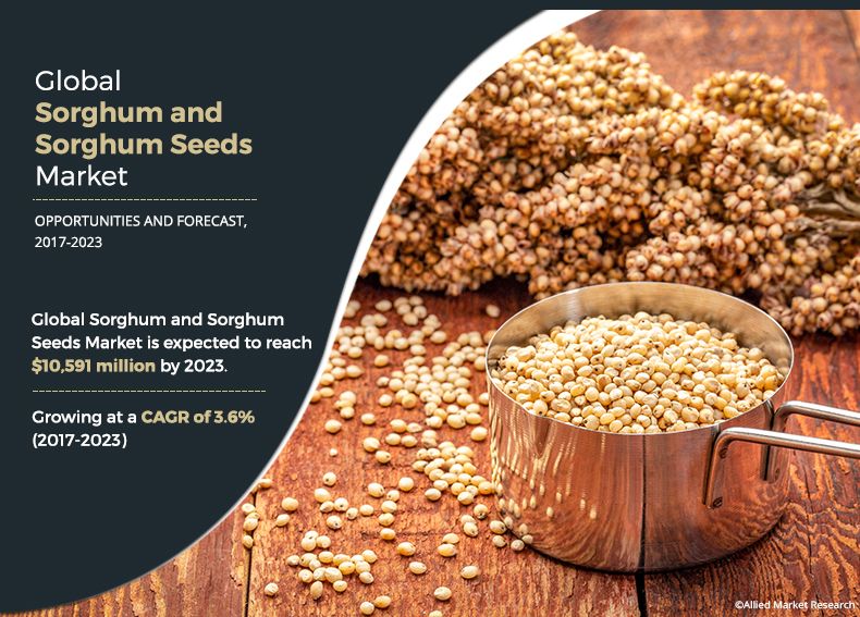 Sorghum and Sorghum Seeds Market