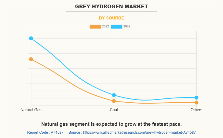 Grey Hydrogen Market by Source