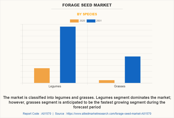 Forage Seed Market by Species