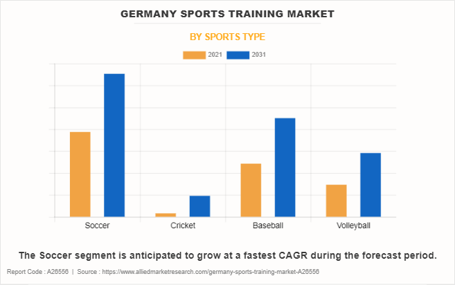 Germany Sports Training Market by Sports Type