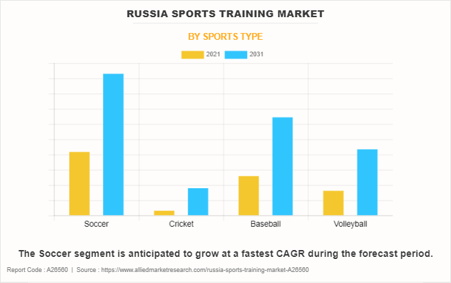 Russia Sports Training Market by Sports Type