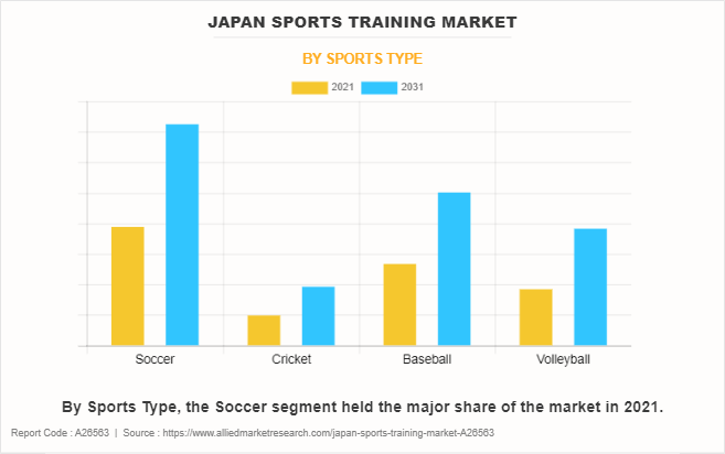 Japan Sports Training Market by Sports Type