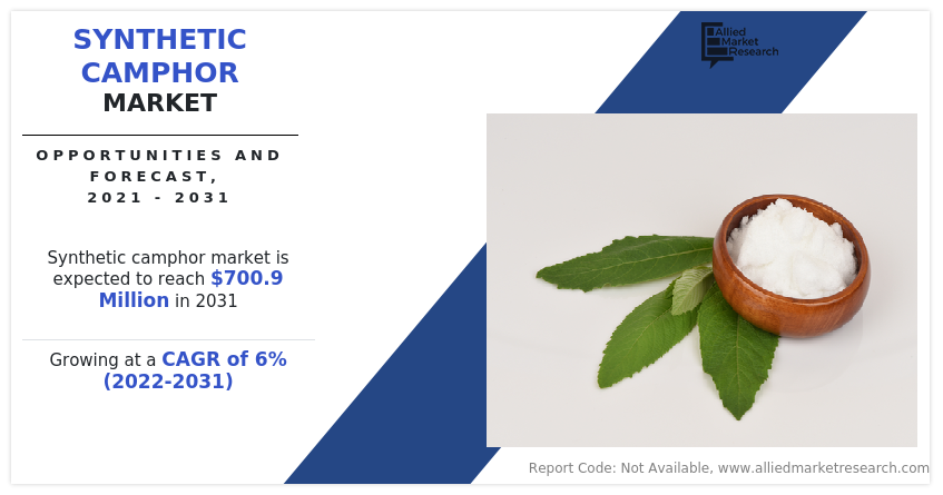 Synthetic Camphor Market Size Share