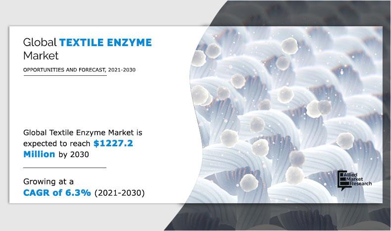 Textile-Enzyme-Market-2021-2030	