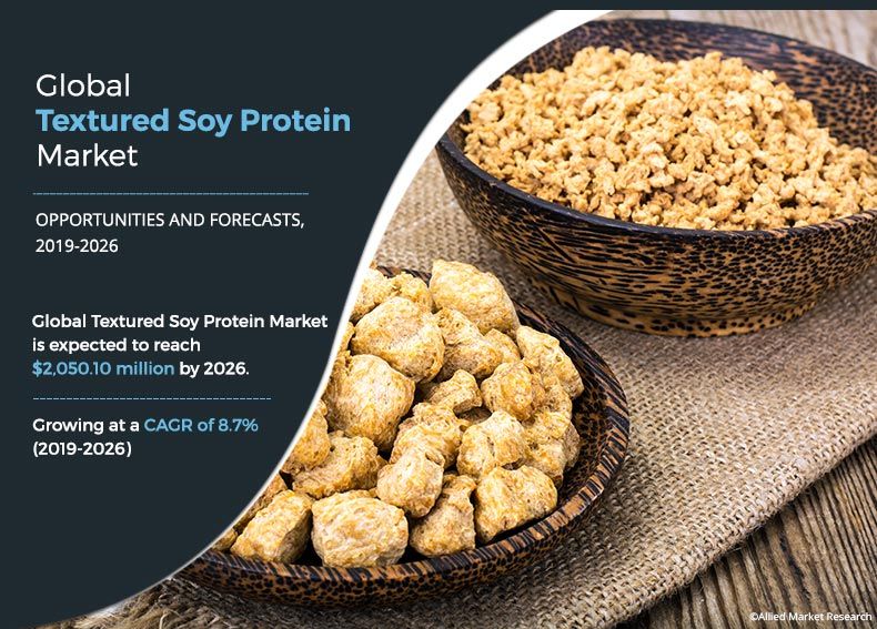 Textured Soy Protein Market	