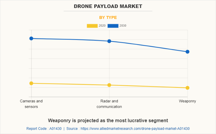 Drone Payload Market by Type