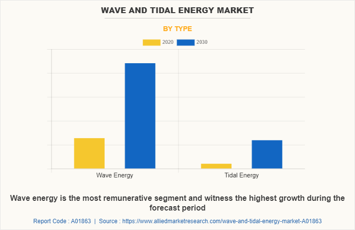 Wave and Tidal Energy Market by Type