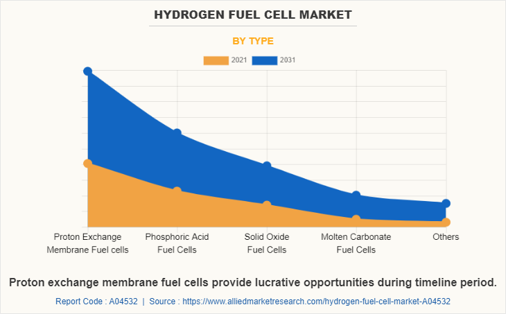 Hydrogen Fuel Cell Market by Type