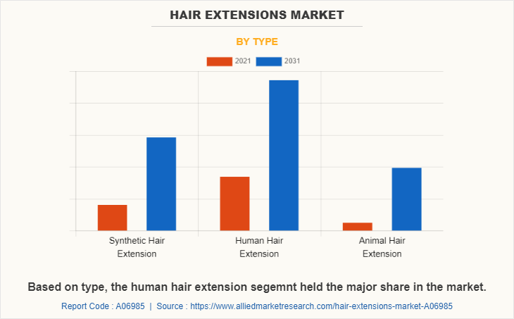 Hair Extensions Market by Type