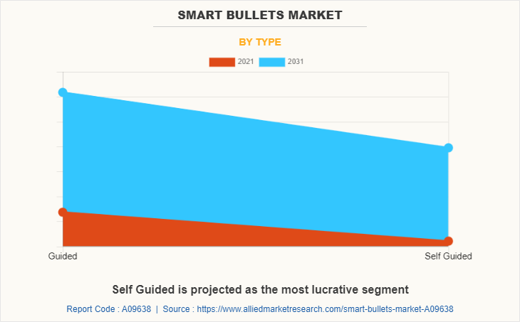Smart Bullets Market by Type