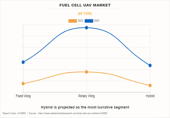 Fuel Cell UAV Market by Type