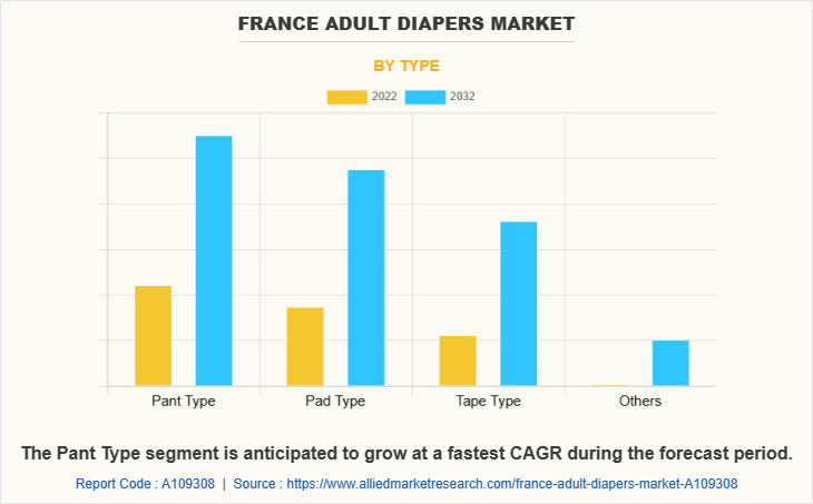 France Adult Diapers Market by Type