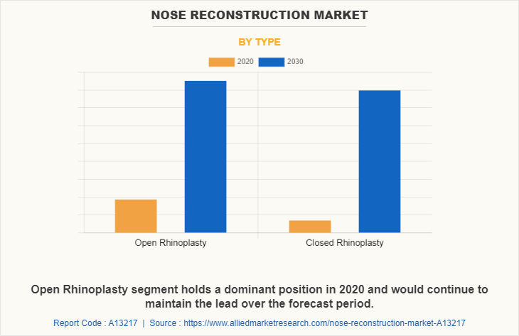 Nose Reconstruction Market by Type