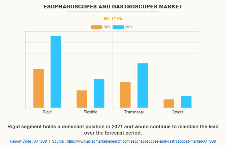 Esophagoscopes and Gastroscopes Market by Type