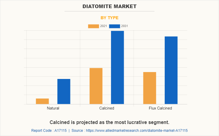 Diatomite Market by Type