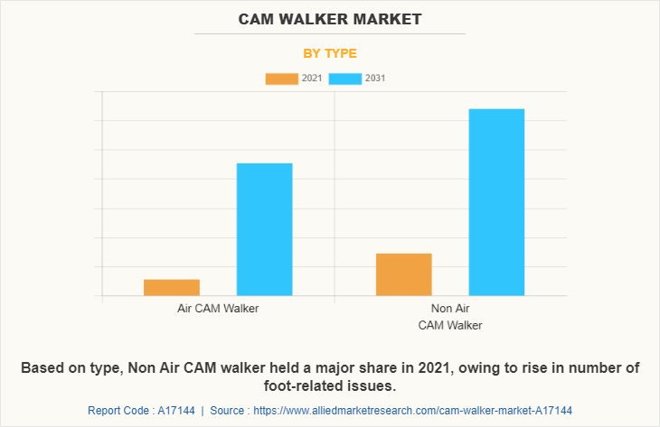 Cam Walker Market by Type