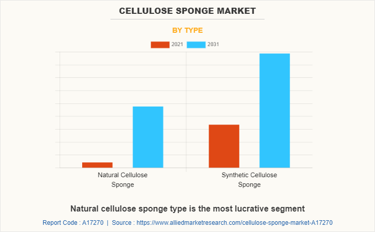 Cellulose Sponge Market by Type