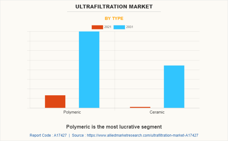 Ultrafiltration Market by Type