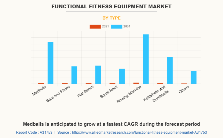 Functional Fitness Equipment Market by Type