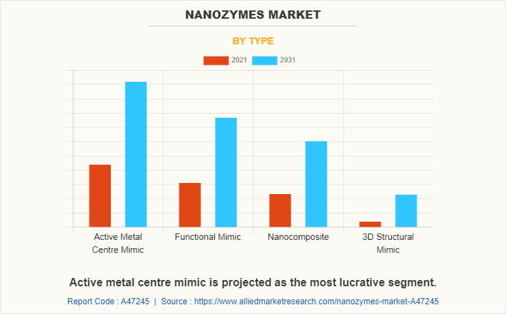 Nanozymes Market by Type