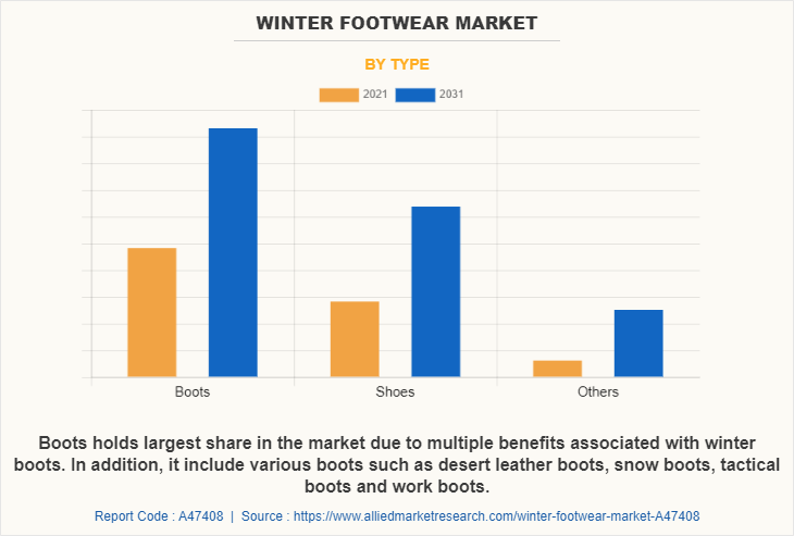 Winter Footwear Market by Type